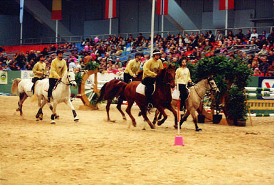 Showveranstaltung auf der Hansepferd